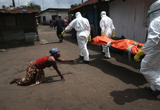 Former CDC dir.: Ebola outbreak can 'become a very significant pandemic’